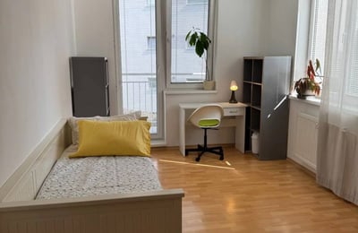 Rental of a spacious 3-room apartment, 105 m², Staré Mesto, Bratislava, Slovakia